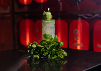 Mojito Cocktail Toronto